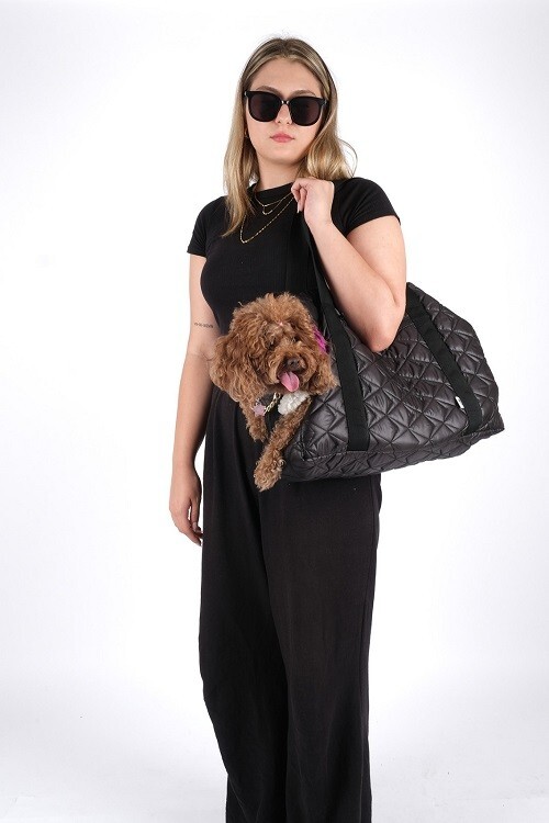 Dog Travel Suitcase
