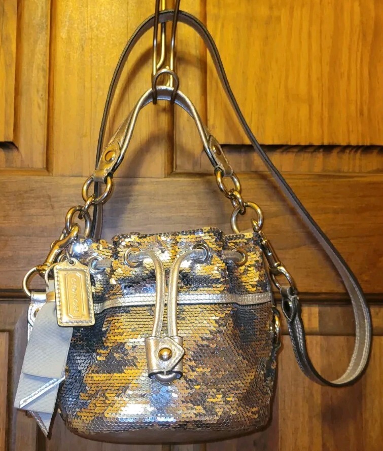 COACH POPPY SILVER SEQUINS CINCH DRAWSTRING BUCKET HANDBAG COACH POPPY SILVER SEQUINS CINCH DRAWSTRING BUCKET HANDBAG