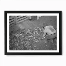 Untitled Photo, Possibly Related To Framed Wall Art Poster Canvas Print Picture