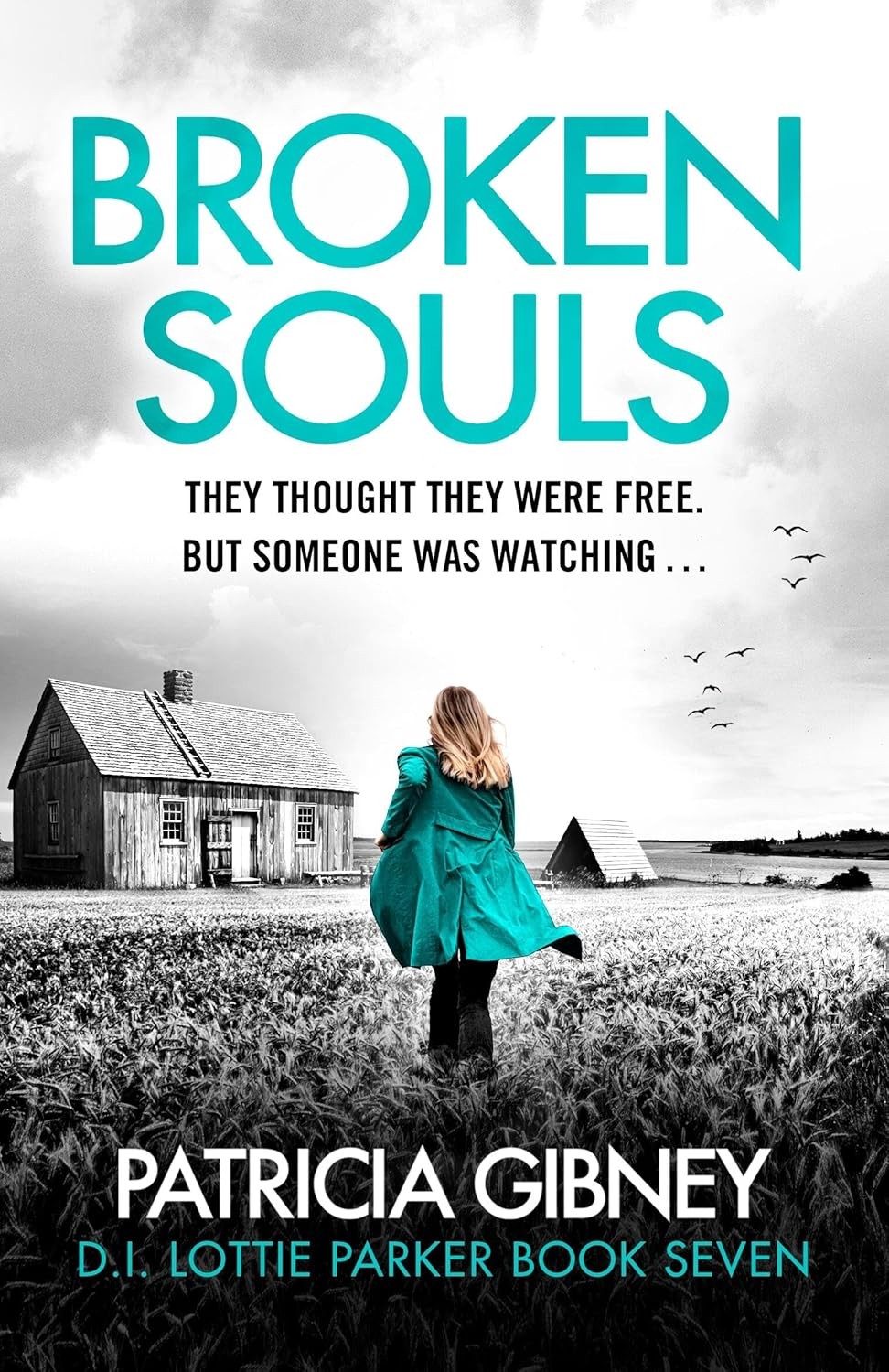 Broken Souls: An absolutely addictive mystery thriller with a brilliant twist (