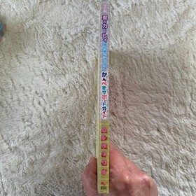 Kirby Dream Land Deluxe Guide, Game FAQs, Used, Famicom通信