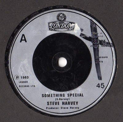 Steve Harvey - Something Special / Something Special Instrumental  - V12170z