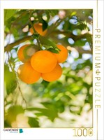 Calvendo Puzzle Fruit In The Garden | 1000 Pieces, Finished Size 25.2 × 18.9 In