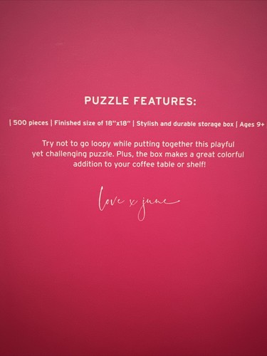 Neu im Karton Abstraktes Puzzle, Squiggle Design Puzzle von Love x June 500 Teile 18”x18” - Bild 3 von 3