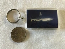 Great White Shark Like Jaws LOL Keychain Key Ring #35541