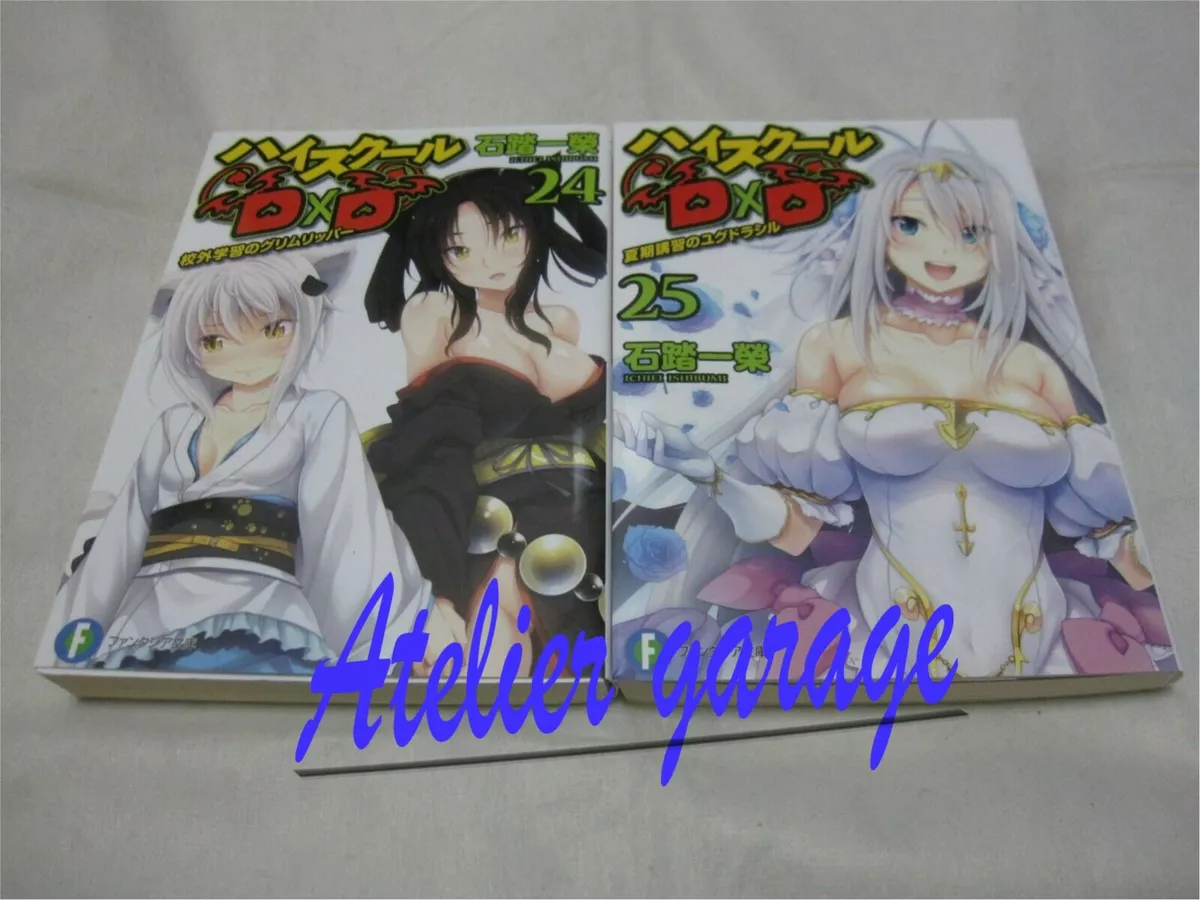 High School DxD Light Novel 1-25 Volume Set [Used]