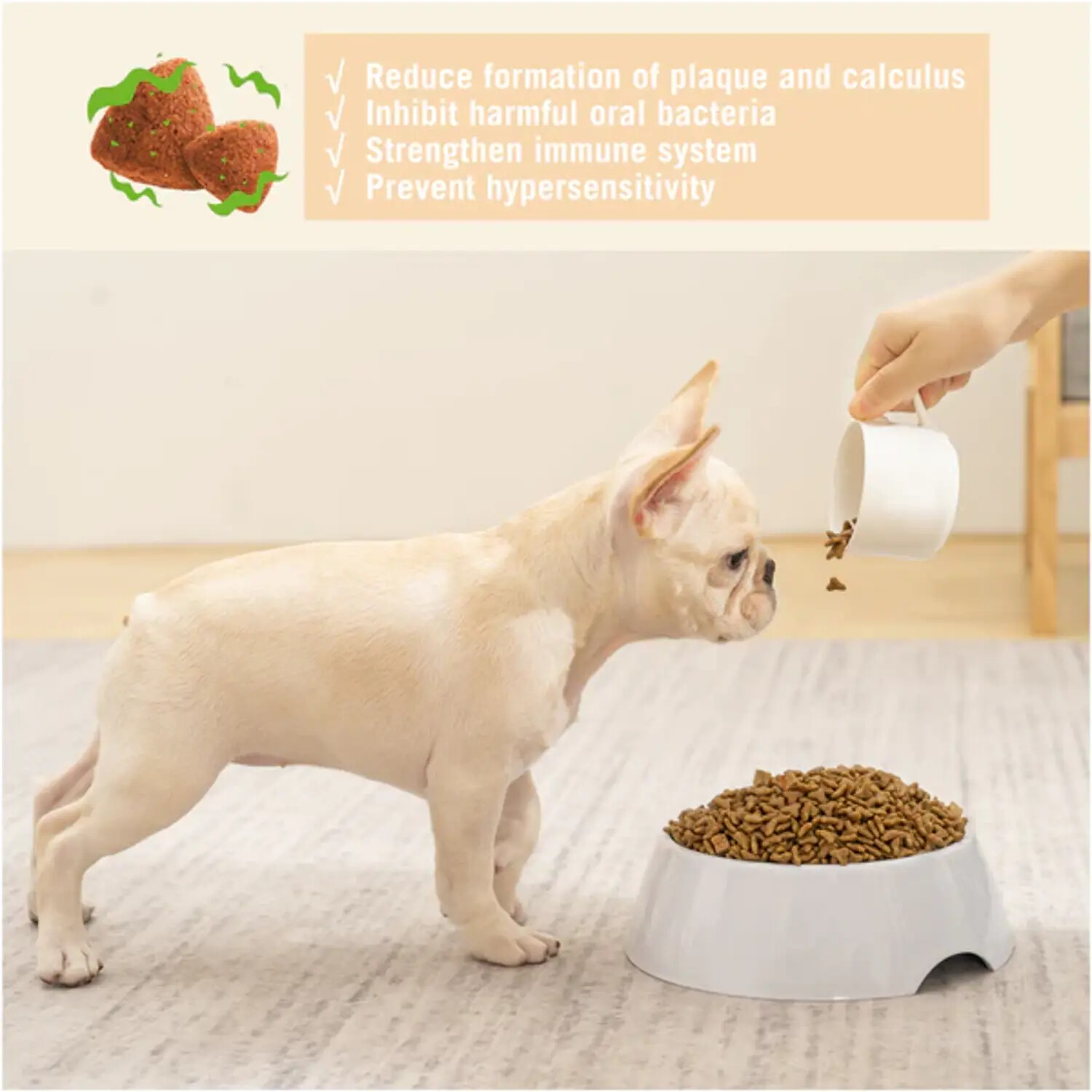 NatureBridge Beauty Dog Complete Dry Dog Food For All Life Stages 10KG