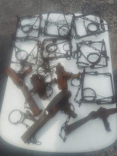 LOT 12 TOTAL TRAPS INCLUDES 7 110 CONIBEARS AND 5 FOOTHOLD MIXED MAKERS WORK