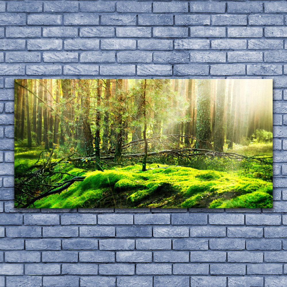 Forêt de bryophyte photo sur toile 140x70 cm style deco scandinave chaleureuse