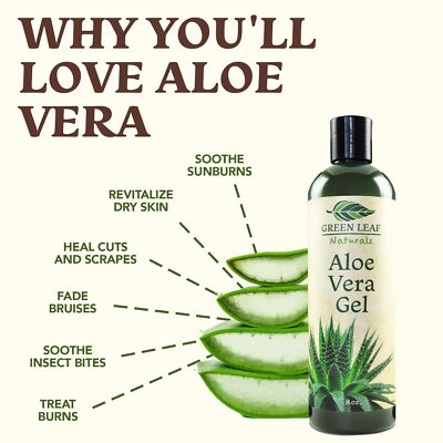 Aloe Vera Gel for Skin Care | Farm Harvested Freshly Cut Aloe Plant | Thin  Fo... | eBay