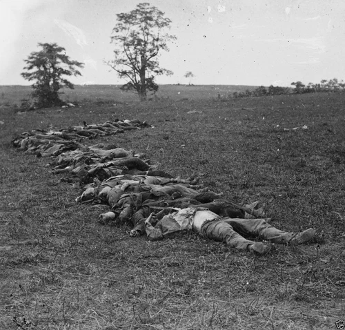 Confederate Rebel Dead Antietam Sharpsburg - 8x10 Civil War Photo