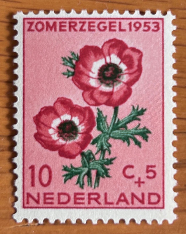 Netherlands 1953 Summer Stamps SC B252 MNH