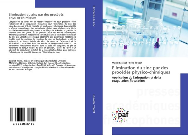 Elimination Du Zinc Par Des ProcéDéS Physico-Chimiques Leila Youcef-image