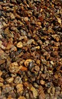 Wholesale lot 2000g Dominican Red Blue Green Amber rough specimen chunks