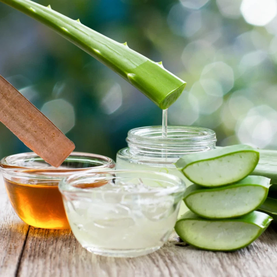 Gel retardante 3 X 5 ml 100 % Gambir Sarawak duración prolongada para mejora masculina Foto 2 de 3