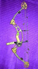 Hoyt XT2000 SuperTec RH Bow 60-70 LBS 29”DL *Perfect Condition!* + 28" Cams