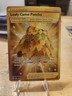 Pokemon LEAFY CAMO PONCHO 214/195 Silver Tempest - SECRET RARE FULL ART - MINT