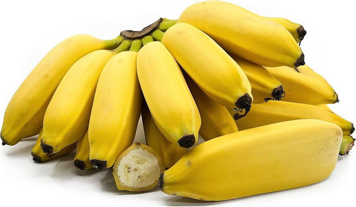 Banana Musa acuminata 'Lady Finger' Live Fruit tree (10in-18in) Plant Guineo