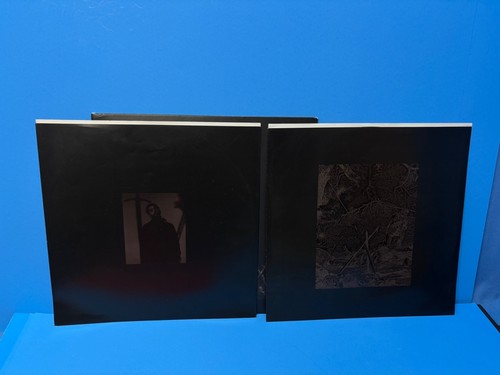 2019 Post Malone Hollywood's Bleeding Republic 2 LP Vinyl - Imagen 5 de 8