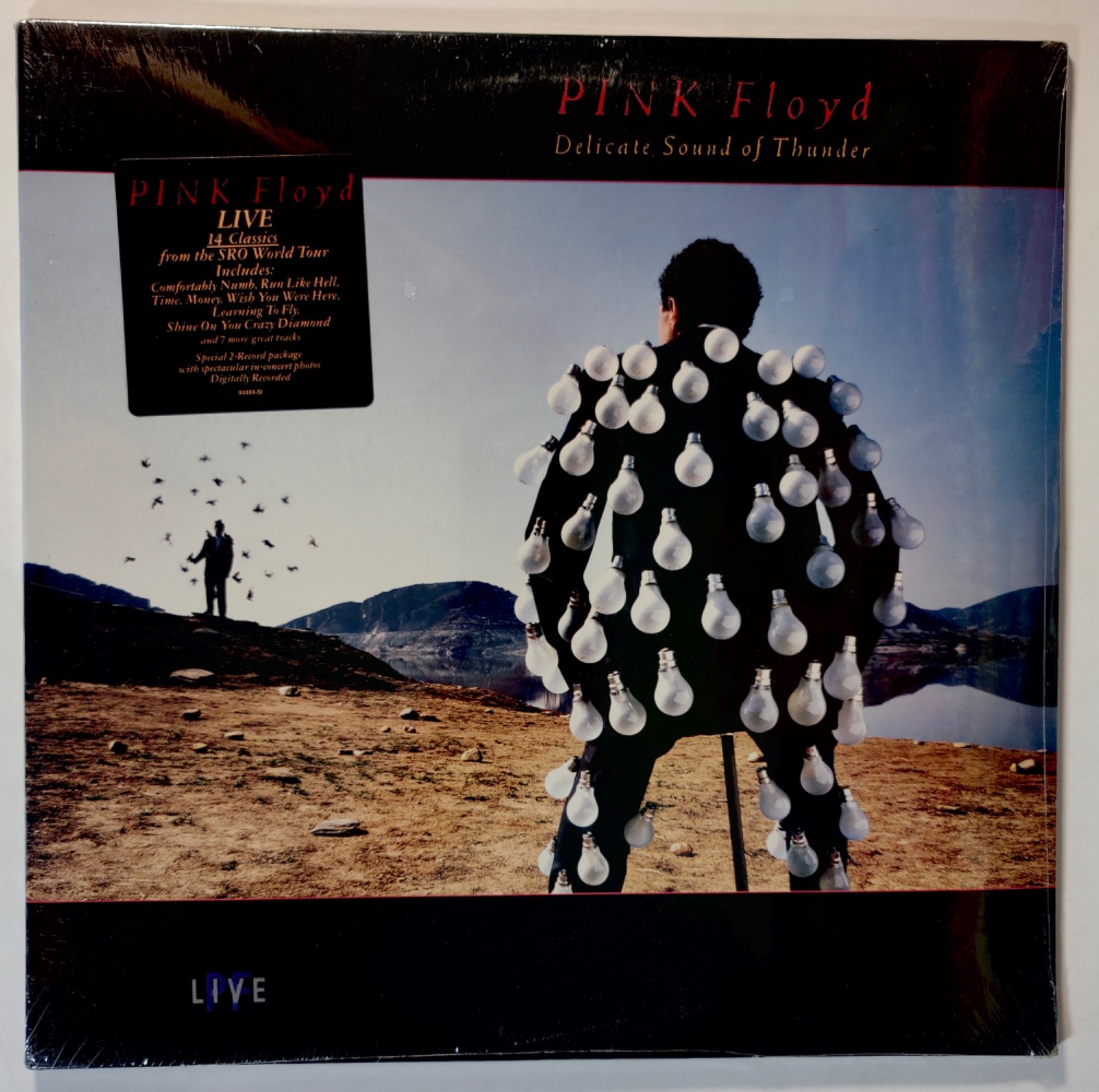 Pink Floyd The Delicate Sound of Thunder 2 LPs SEALED Hype sticker