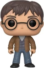 Funko Pop! Harry Potter (Two Wands) #118 from Harry Potter -
