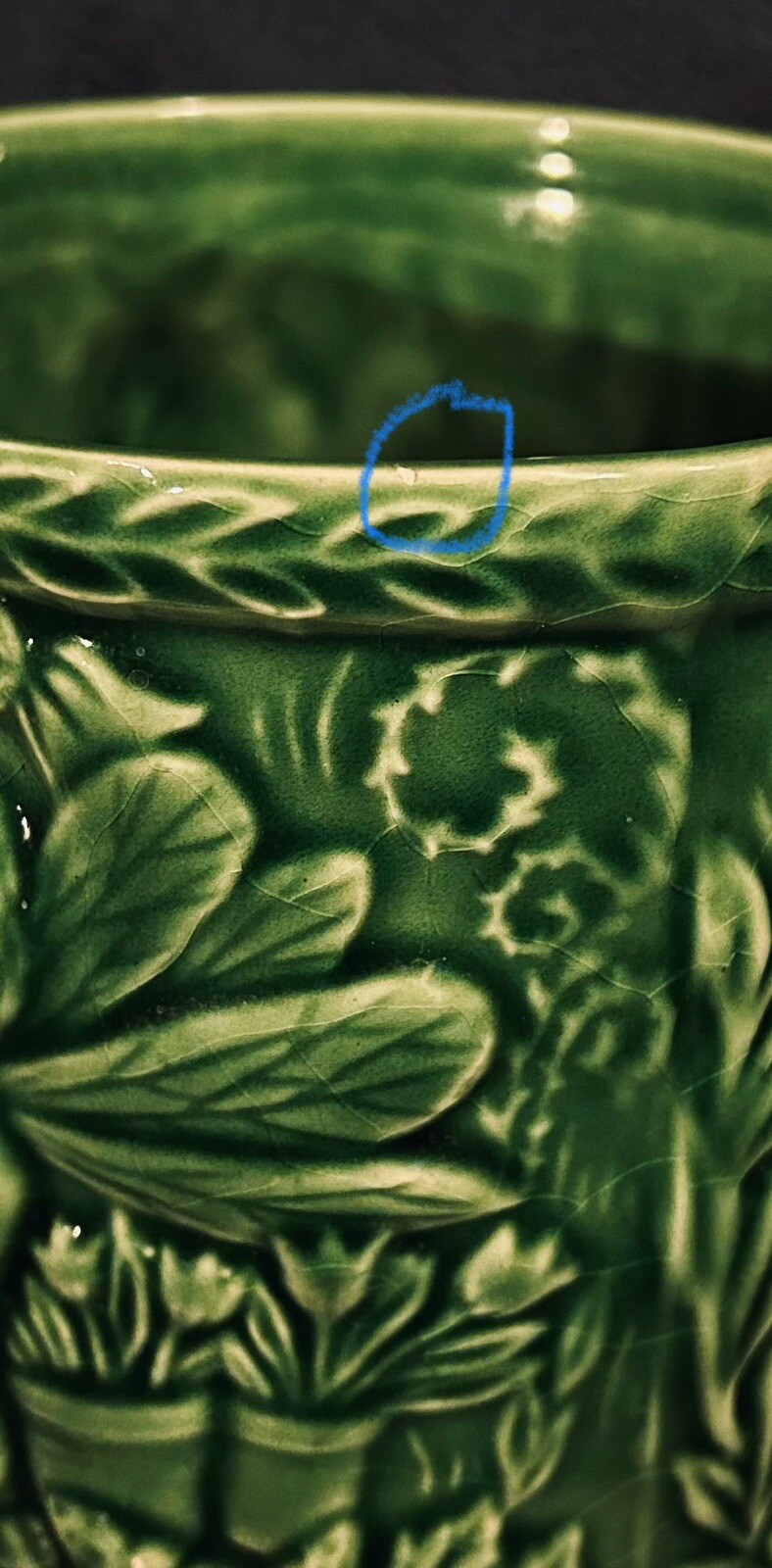 Picture 8 of 8