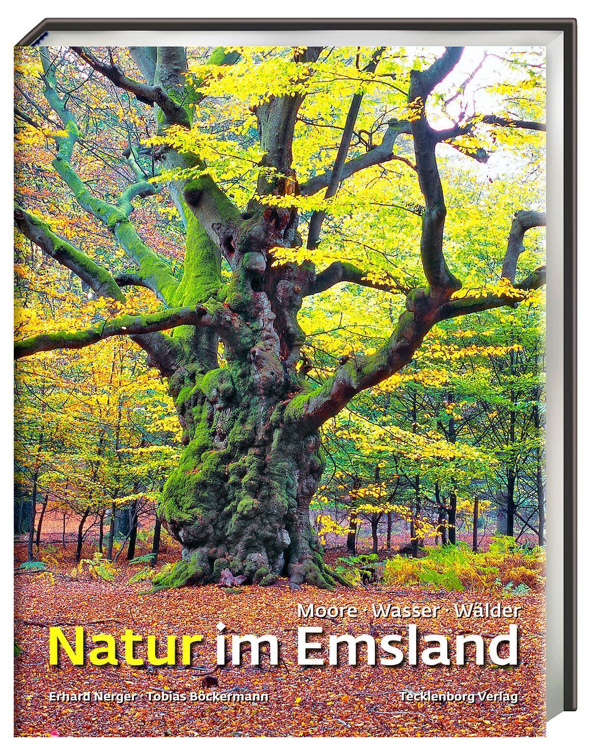 Thumbnail - Natur Emsland Tobias Böckermann