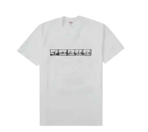 Tee shirt blanc Supreme Milford Graves grand flambant neuf 100 % authentique FW22