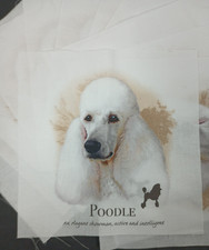 13 White Poodle 8 X 8 inch Fabric Quilt Squares