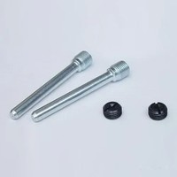 Haltestift BremsbeläGe (Gleitstift), Hinten PPS-901 FüR Suzuki DR 650 SE 96-00