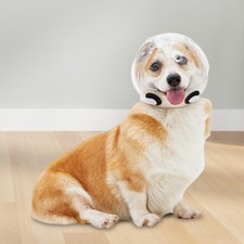 Dog Muzzle Pet Dog Hood Sturdy Clear Anti Bite Prevent Biting Pet Helmet for