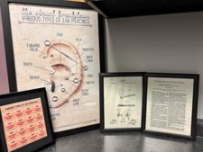 Piercing Picture Collection perfect for piercing booth. 26x18,10x12 2 ,10x8