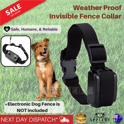 boundary dog collar