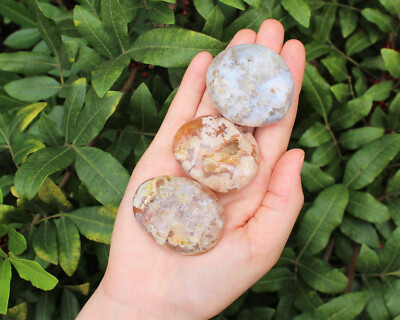 Flower Agate Palm Stone - Flower Agate Pebble,  Hand Polished Crystal