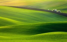 Landscape nature grass field Custom Gaming Mat Desk
