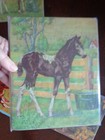 Picture 3 of 7