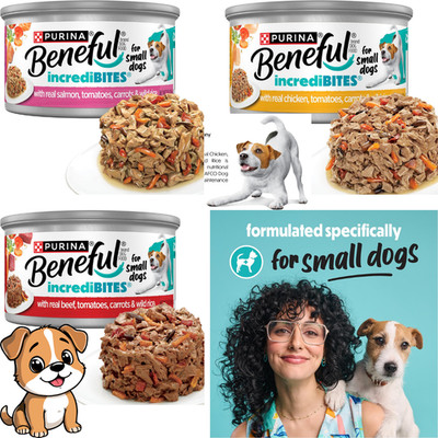 Purina Beneful Small Breed Wet Dog Food in Gravy, 3 Ounce (Pack of 12)