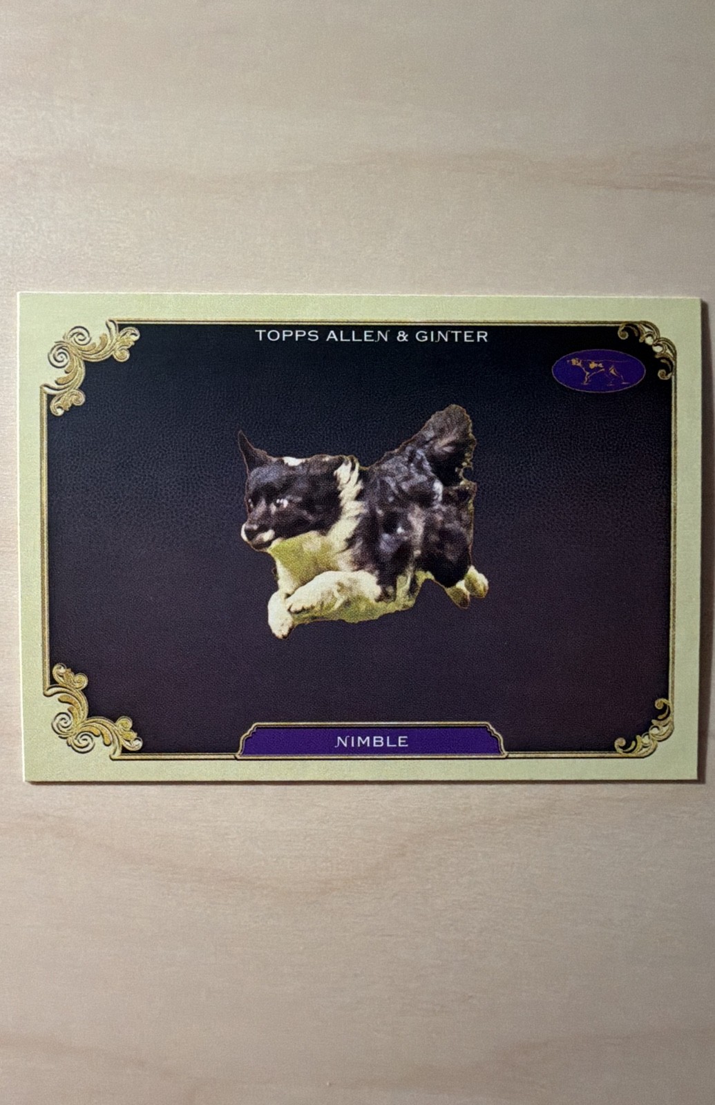 2024 Topps Allen Ginter - Stars of the Show the Westminster Kennel Club...