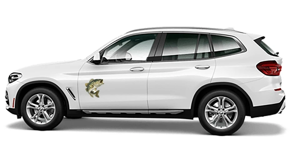 Calcomanía de vinilo laminado troquelado pez lubina saltarín | Tamaños pro premium Foto 4 de 4