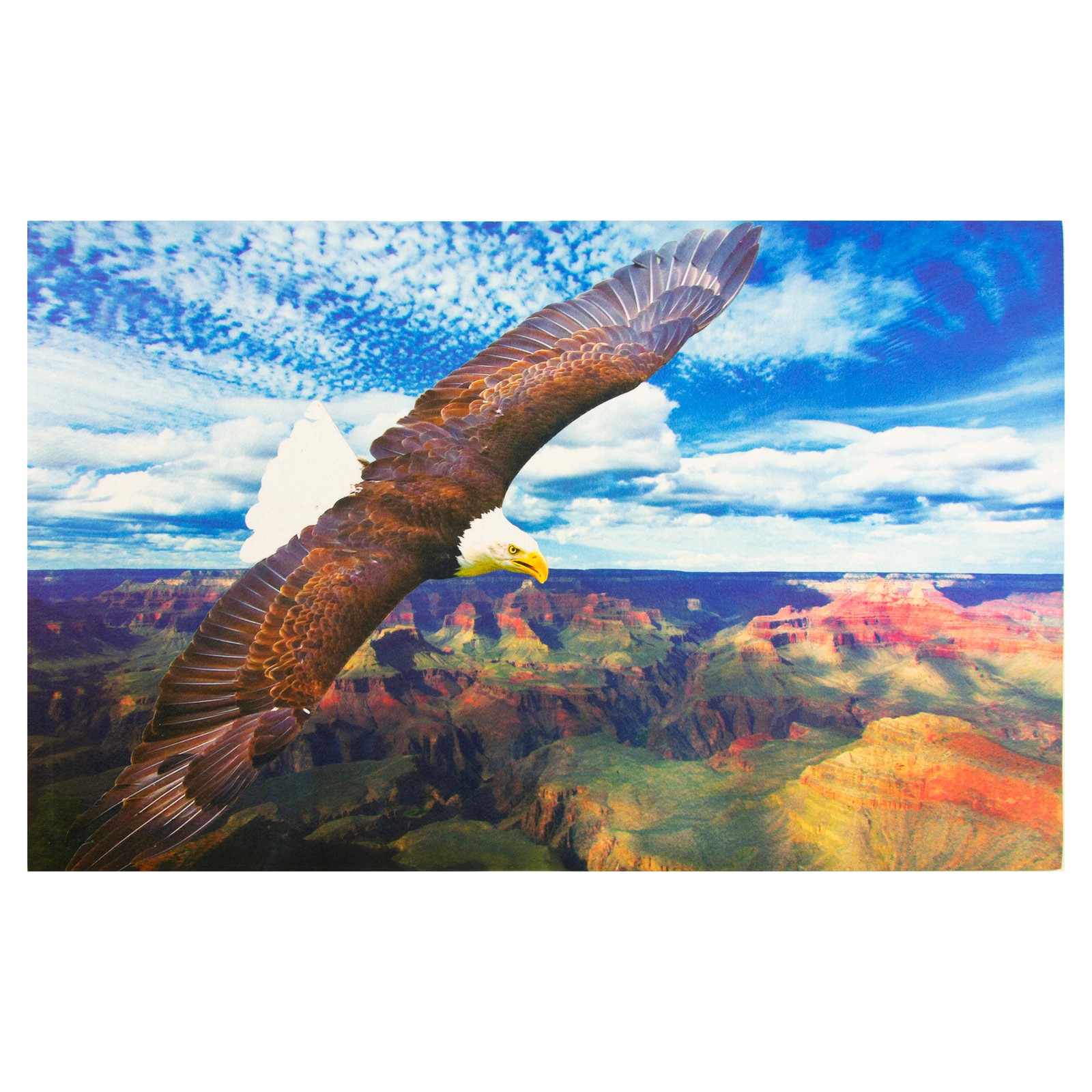 Woodland Creek Soaring Eagle Scene 29 x 18 5090₽