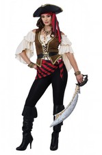 Brand New Renaissance Pirate Beauty Adult Costume