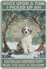 Australian Shepherd Puppy Painting Tin Metal Signs Home D cor 8x12