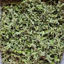 Dried Organic Oregano Uncrushed Whole Leaf Spice/Tea Spring New Crop 2 or 4 Oz