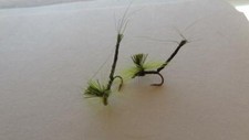 1 DOZ DF-6 PARACHUTE GREEN DRAKE EXTENDED BODY SELECT YOUR SIZE DRY FLY