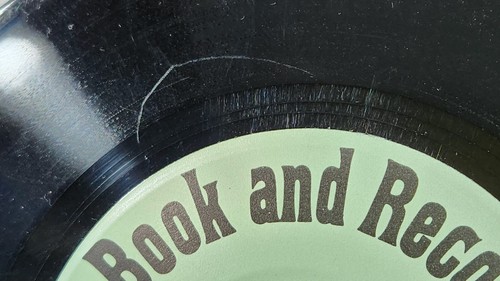 Vintage 1981 Peter Pan Peter Rabbit Records And Book 45 RPM - Imagen 9 de 12