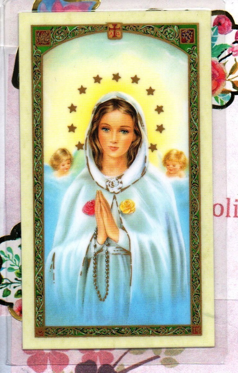 Prayer to Virgin Mary - Mystical Rose - Laminated Holy Card HC9