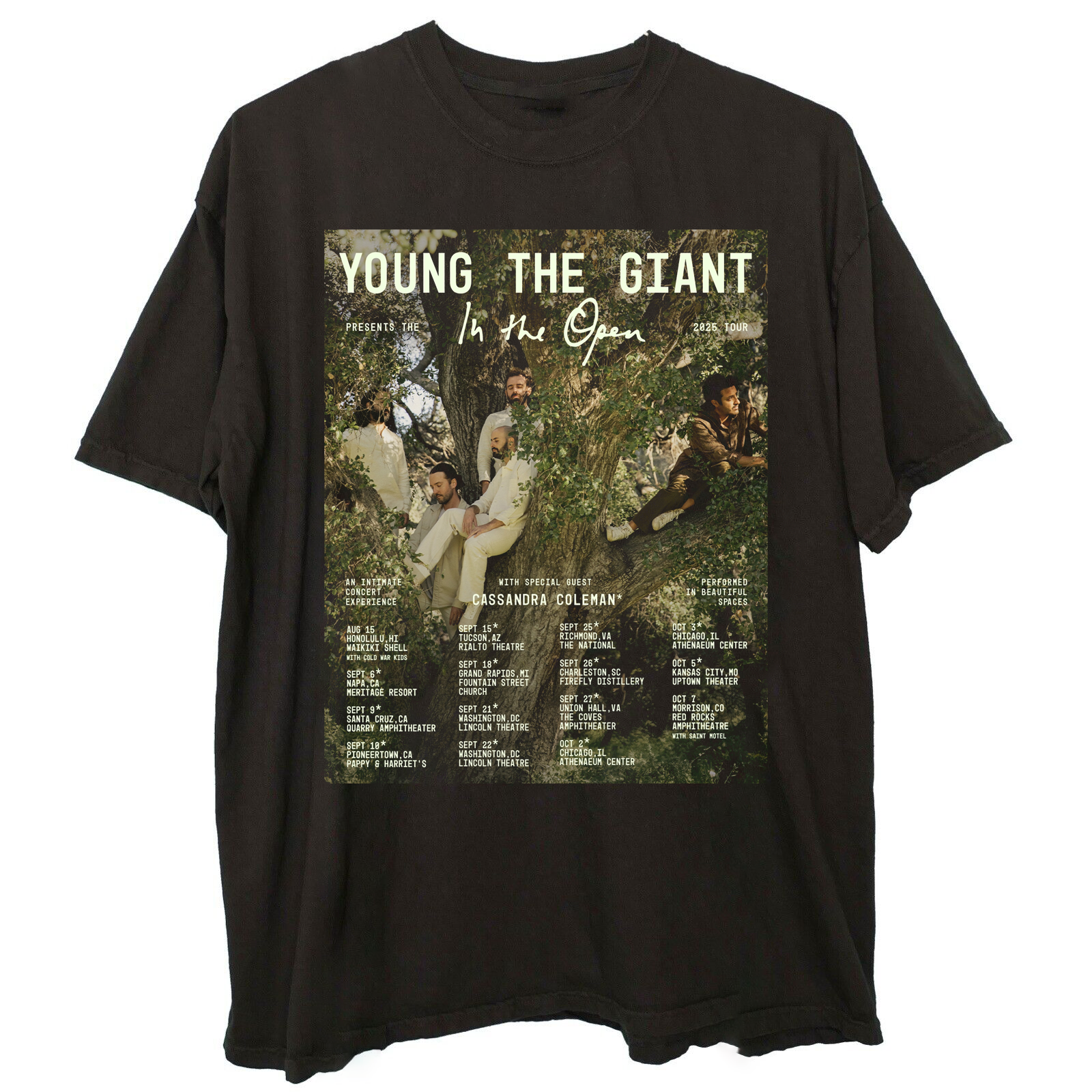 Young the Giant Tour 2025 Gift For Fan Unisex S to 5XL T-shirt QT659