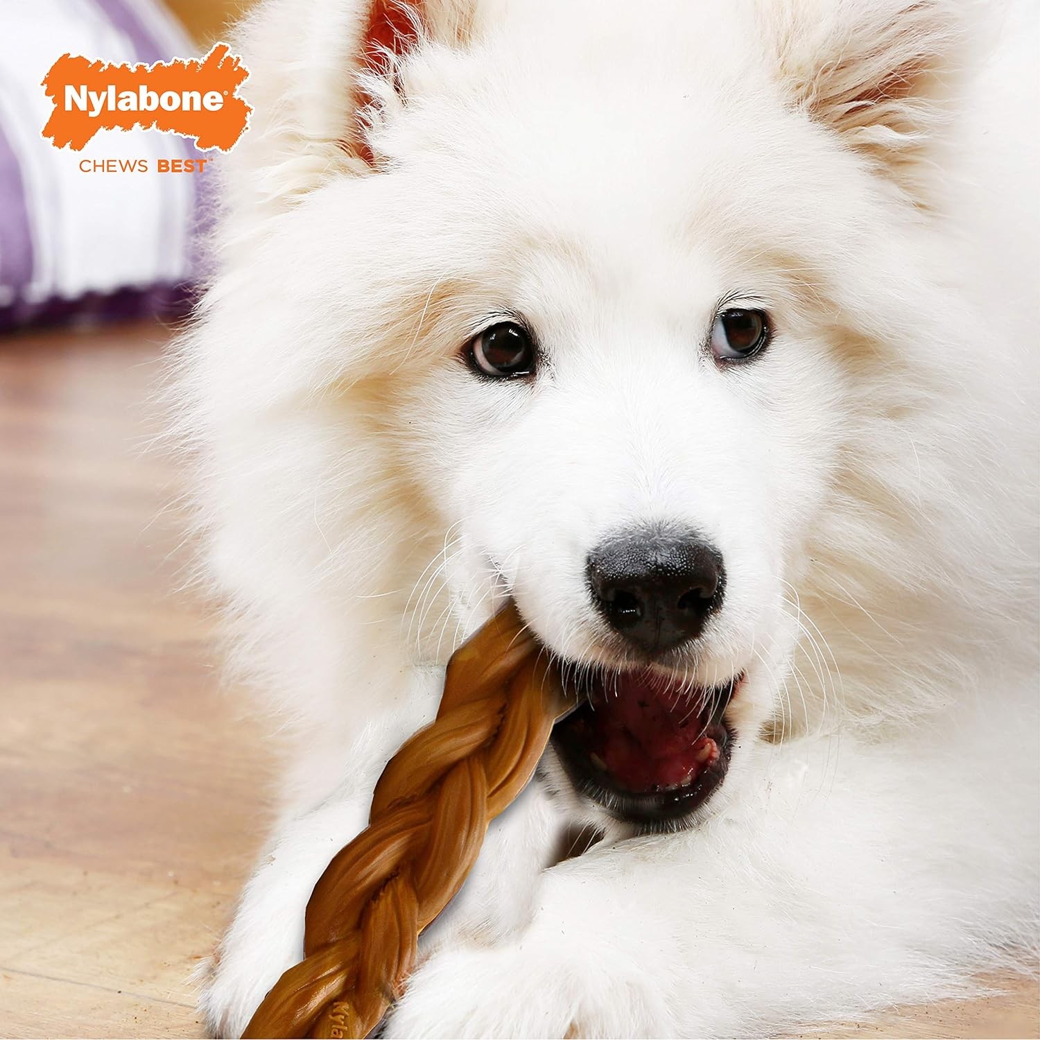Nylabone Braided Bully Stick Alternative Large Dog Chew Bully Stick Flavor
