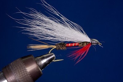 Fliegentom Streamer Royal Coachman