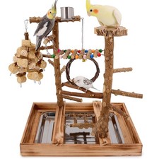 Bird Playground - Natural Wood Bird Perch Stand with Removable Tray and 2 Sta...